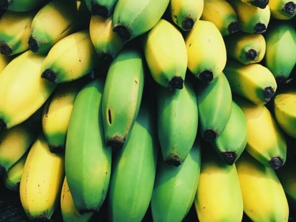 Ethiopia’s Wonder Banana Solution to Africa and the Worlds Food Problem